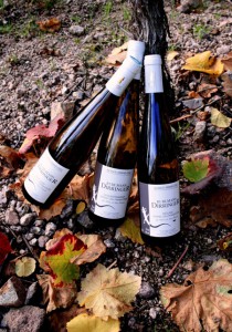 Nos Vins de Garde